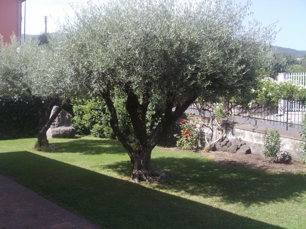 Scatitti House Vila Zafferana Etnea Quarto foto